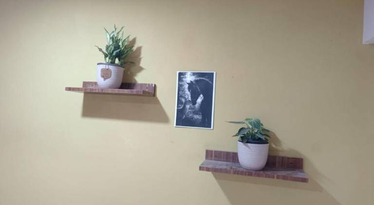 foto35