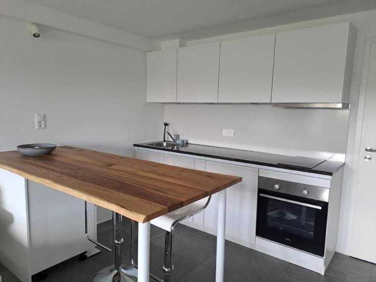Apartment  Wettingen