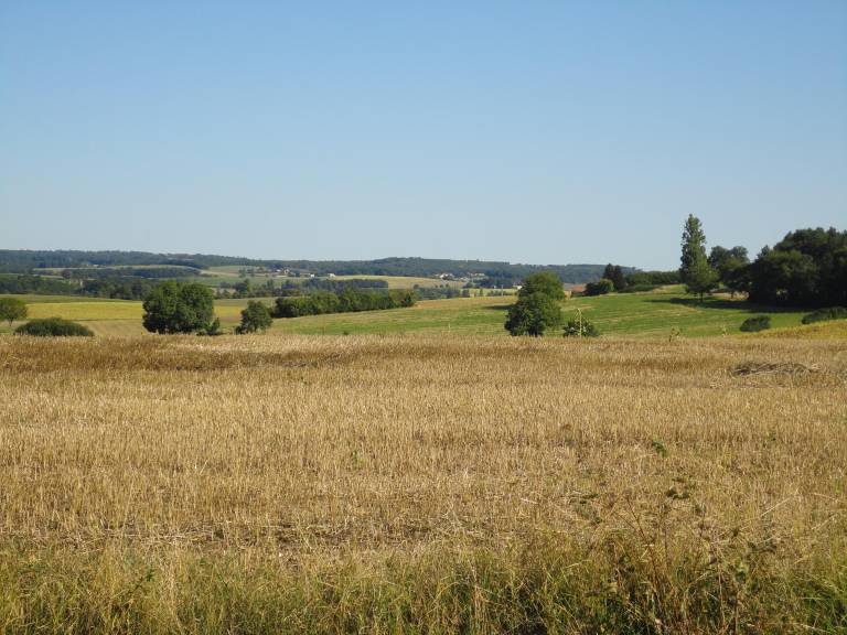 foto21