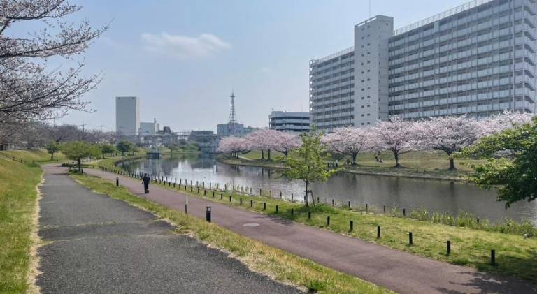 Sunny Inn Sumida — photo 3