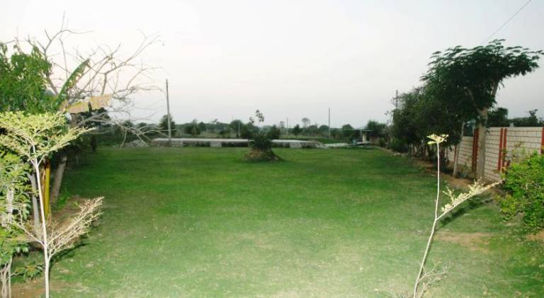 foto42