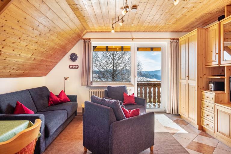 Apartment 'Hochfirst' with Mountain View, Shared Terrace and Wi-Fi in Hinterzarten