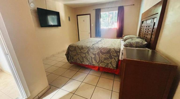 Hotel Del Bosque — photo 2