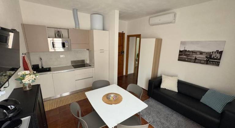 Rental apartment | Next to Santa Maria della Spina | Pets allowed in Pisa