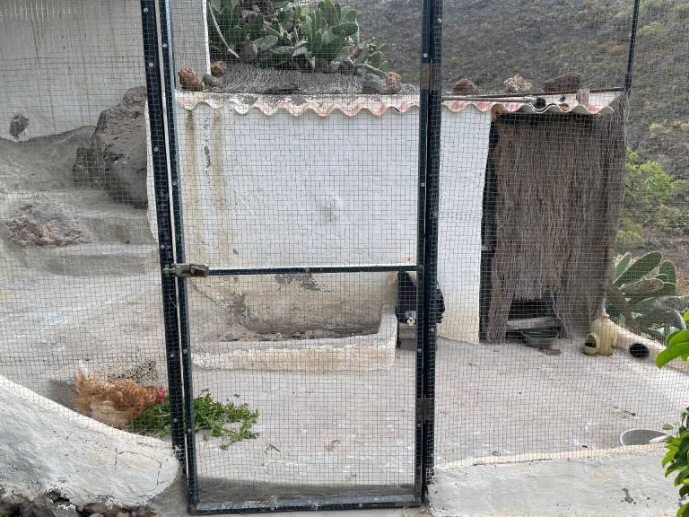 foto41
