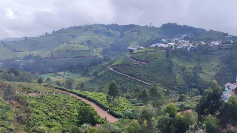 Mist valley resort in Coonoor