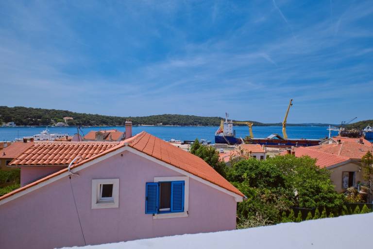 Holiday apartment with barbecue | Sea view | Pets allowed in Mali Losinj