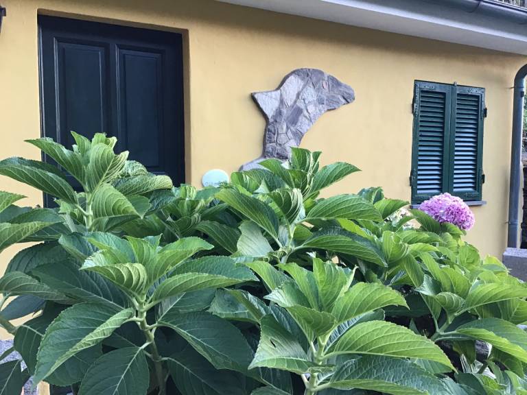 Ferienhaus in Vernazza f&uuml;r max. 2 Personen