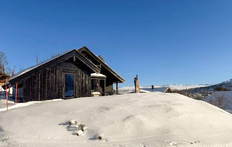 Feriehus  Hovden i Setesdal