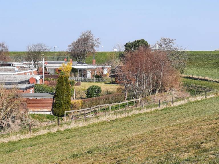 foto13