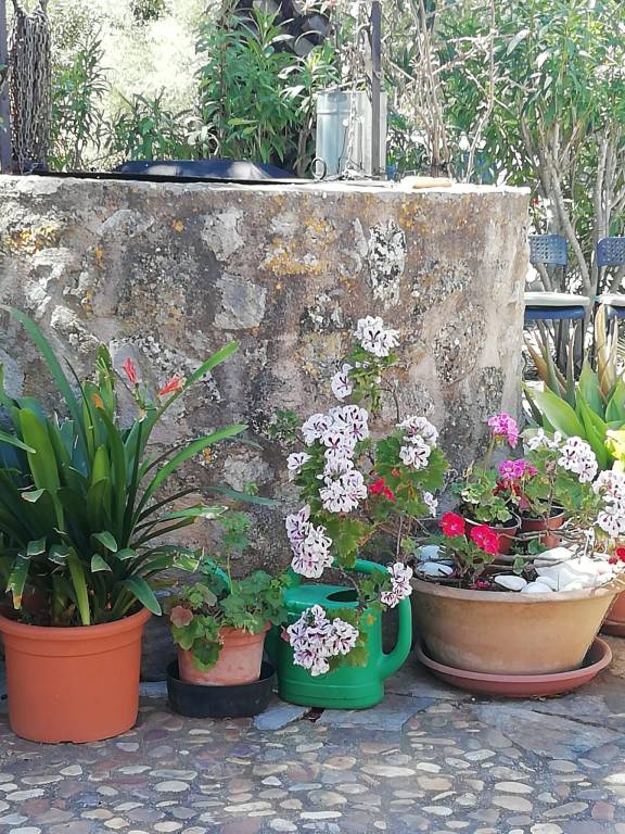 foto5