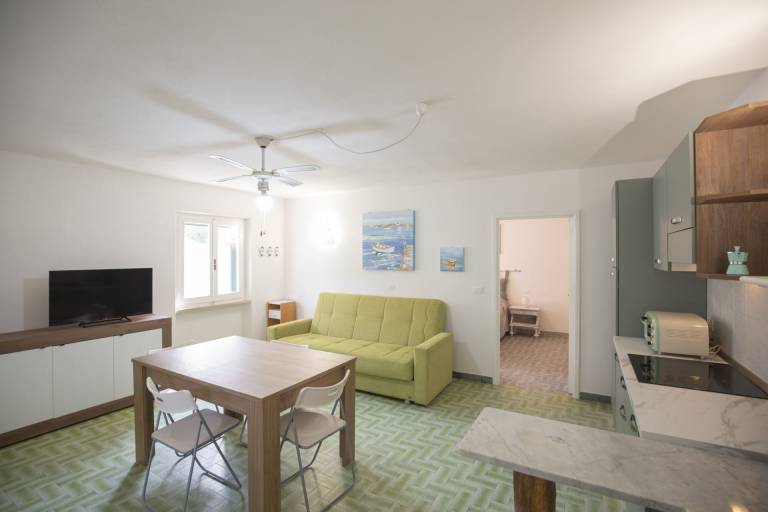 Located on the ground floor, it consists of a living room with kitchenette and sofa bed, a double be — photo 5