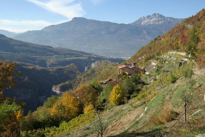 foto3