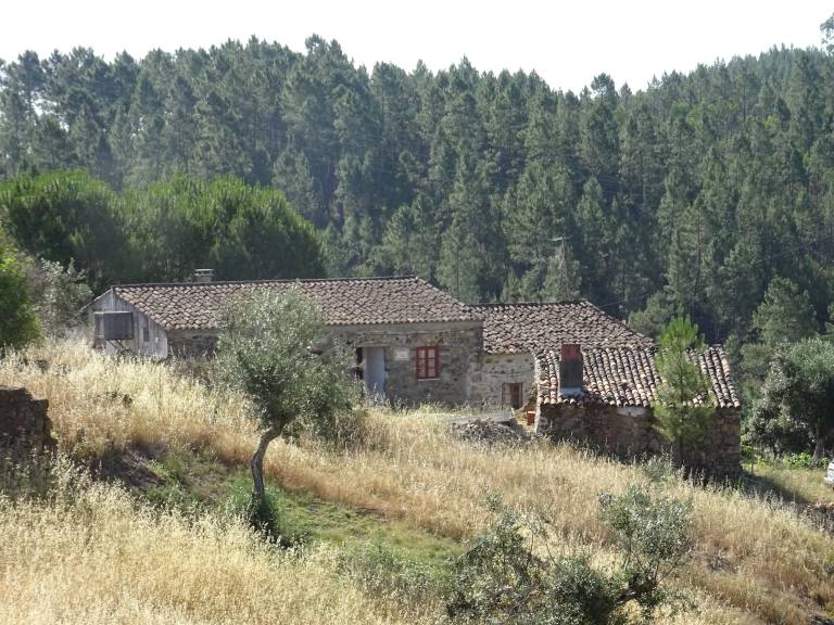Casa Carvoeiro