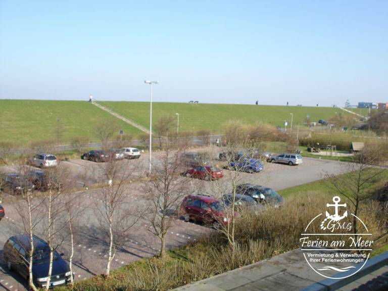 foto11