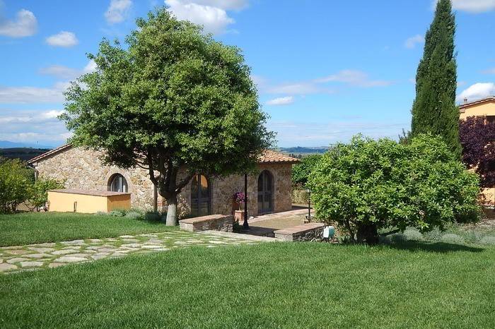 Fattoria di Paltratico: Camelia — photo 3