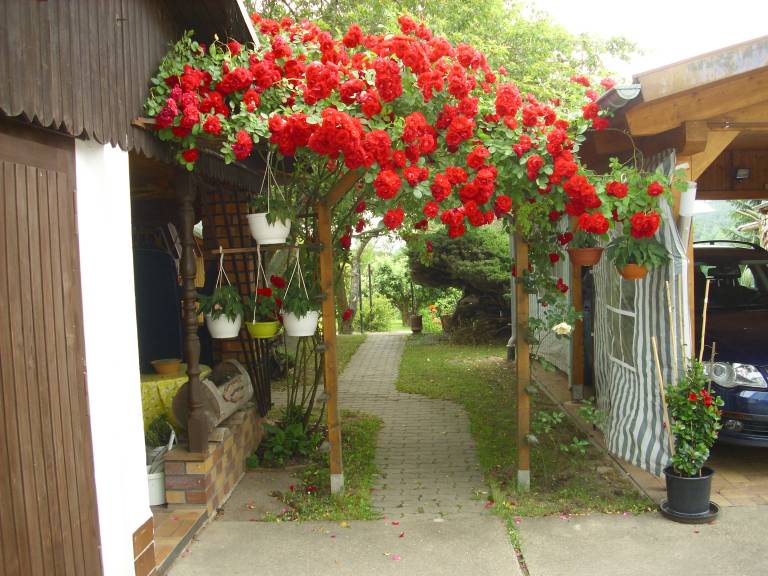 foto11