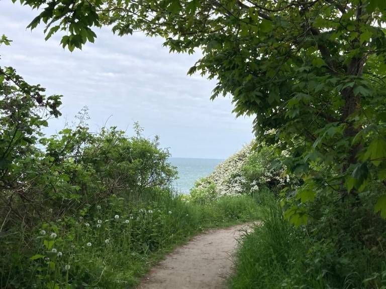 foto29