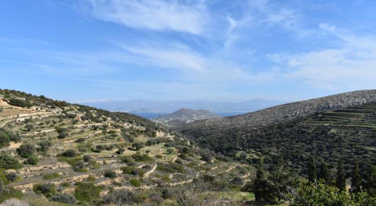 Lefkes Horizon — photo 5