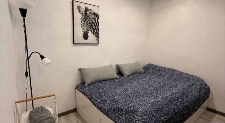 Rental apartment | Pets are welcome in Bad Nauheim
