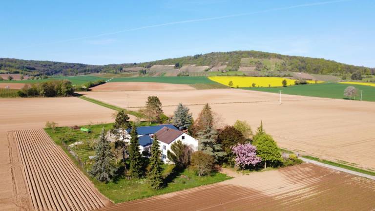 Ferienwohnung Steinfeld