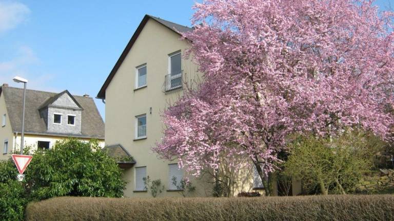 Ferienwohnung Münstermaifeld