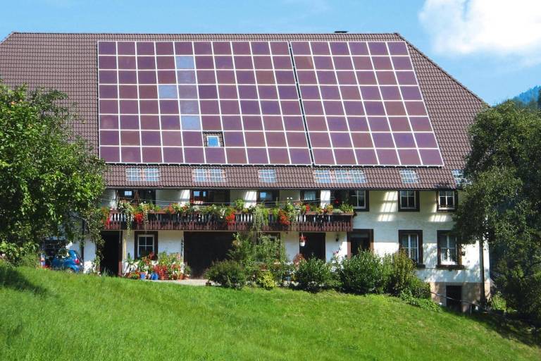 Ferienwohnung in Niederwasser, Hornberg f&uuml;r max. 4 Personen