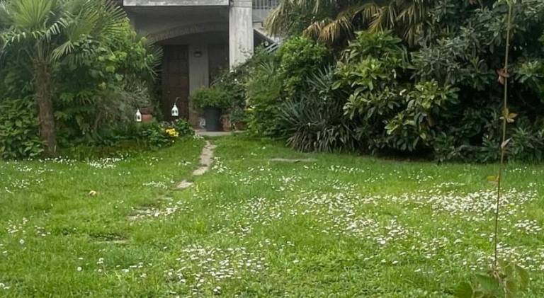 foto49