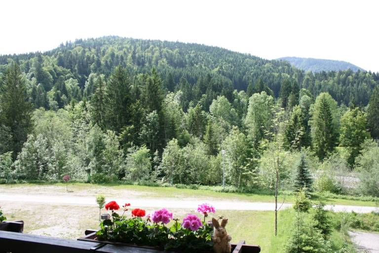 foto11