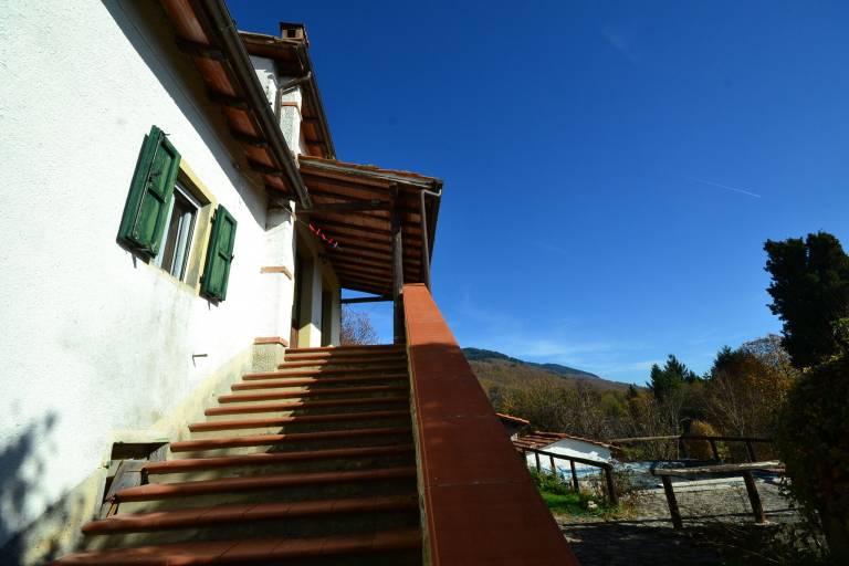 foto30