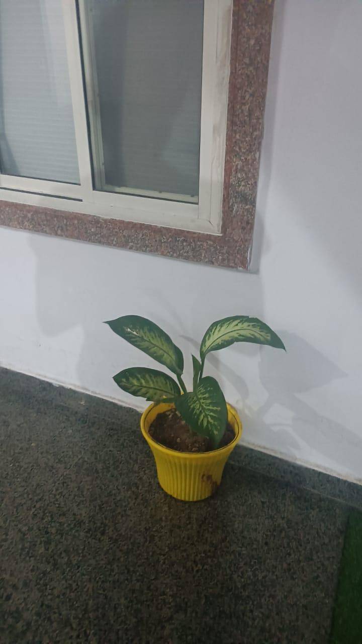 Govind Bhawan — photo 5