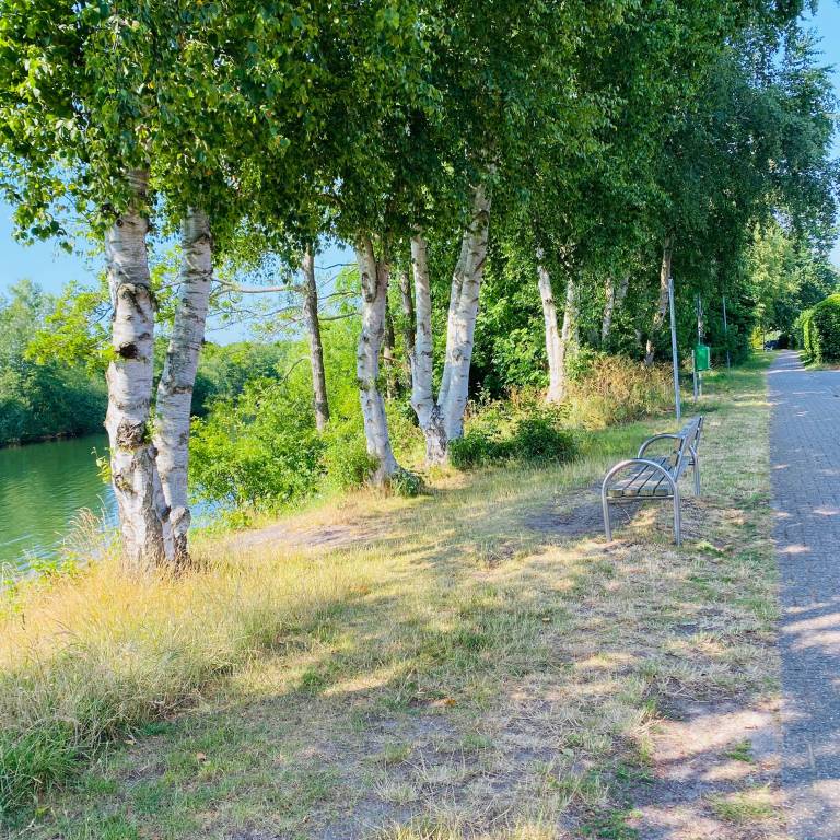 foto23