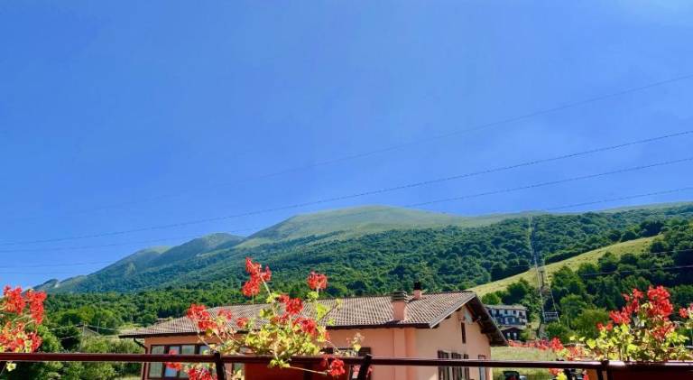 Hotel Edelweiss — photo 3
