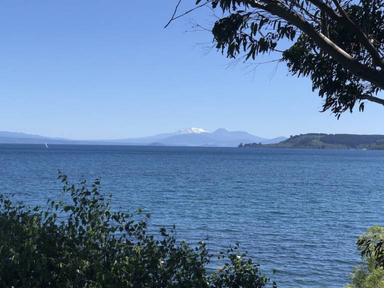 House Taupo