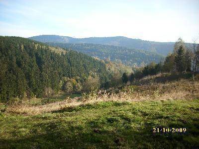 foto12