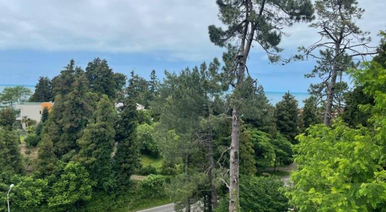 foto16