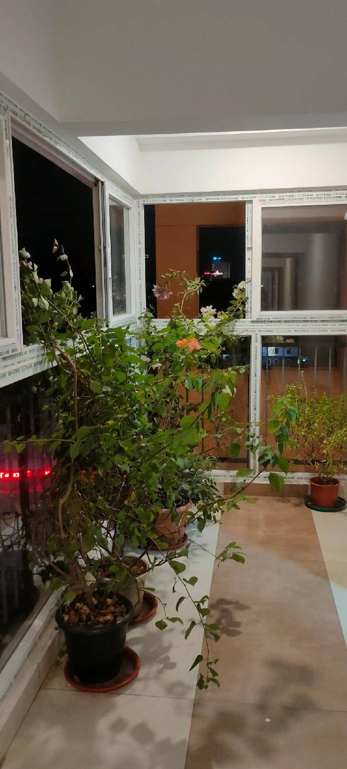 foto46