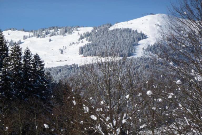 foto13