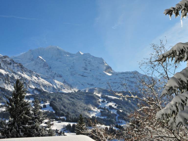 Appartement Wengen