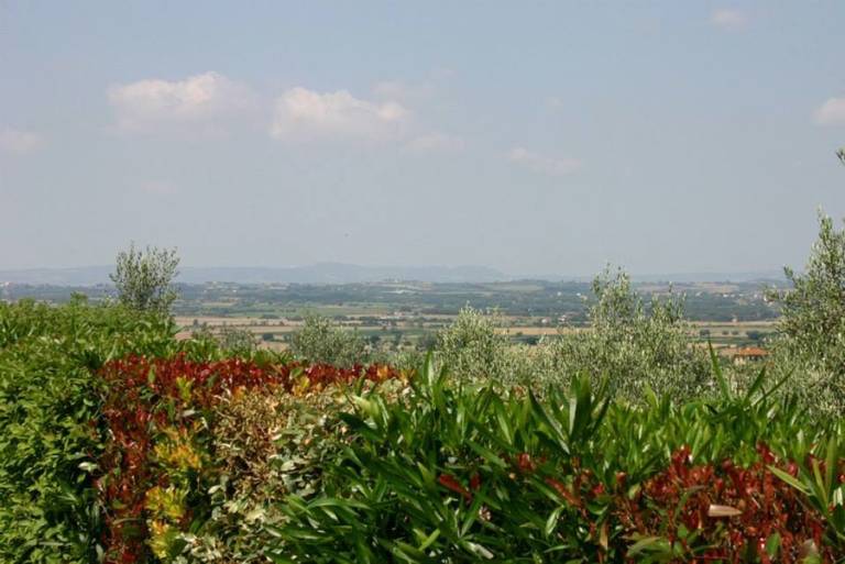 foto48