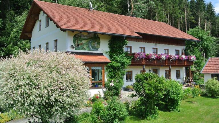 Ferienwohnung  Grafenau