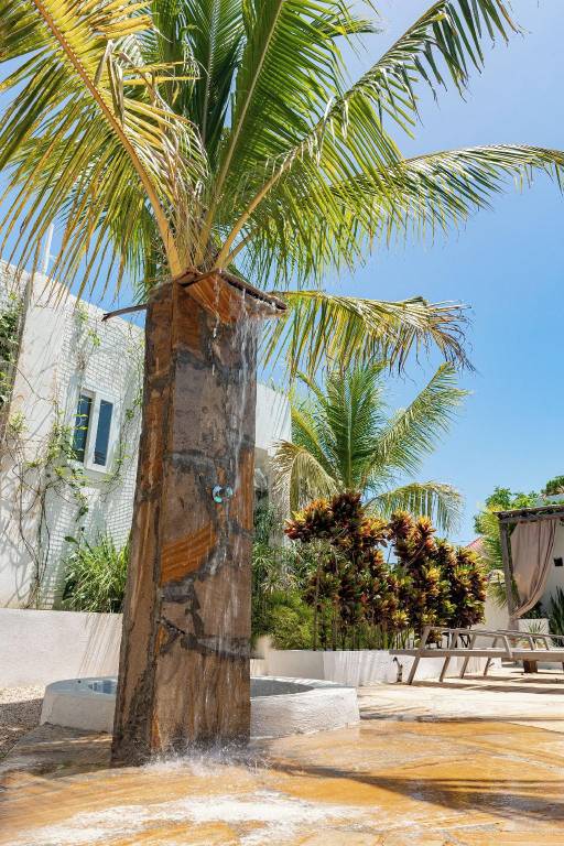 Cactus lodge Zanzibar — photo 4