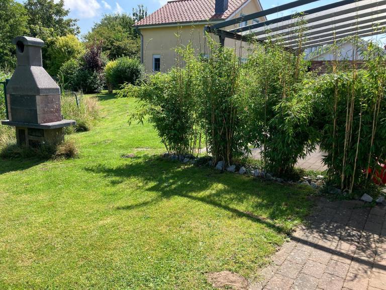foto20