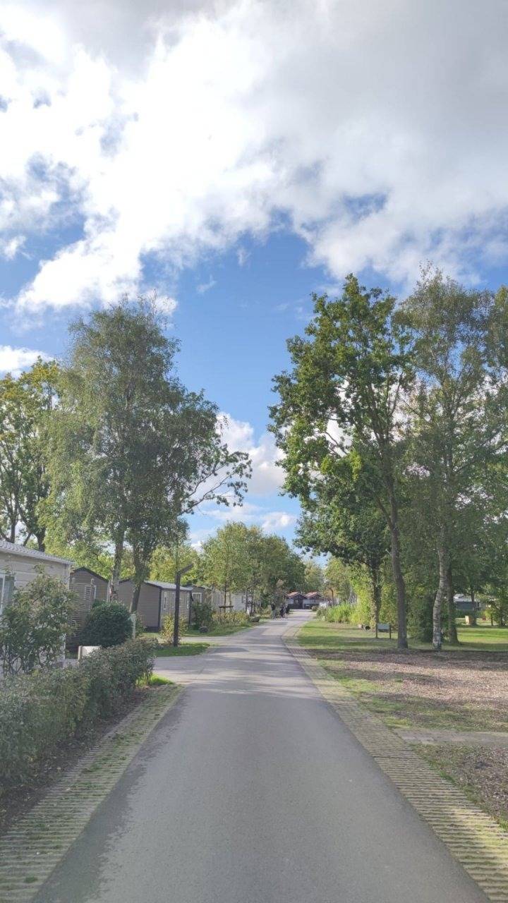 foto23