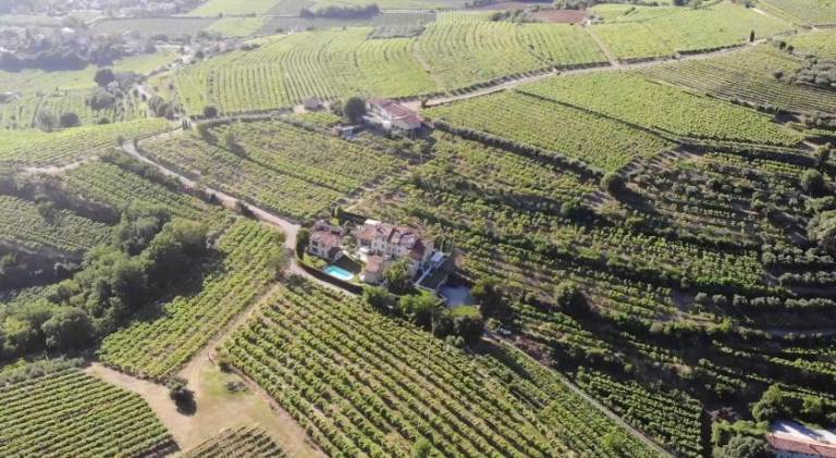 Appartamento  Colognola ai Colli