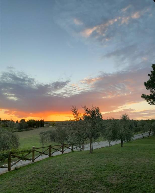 Villa with grill, yard & private pool | Pool view — photo 2