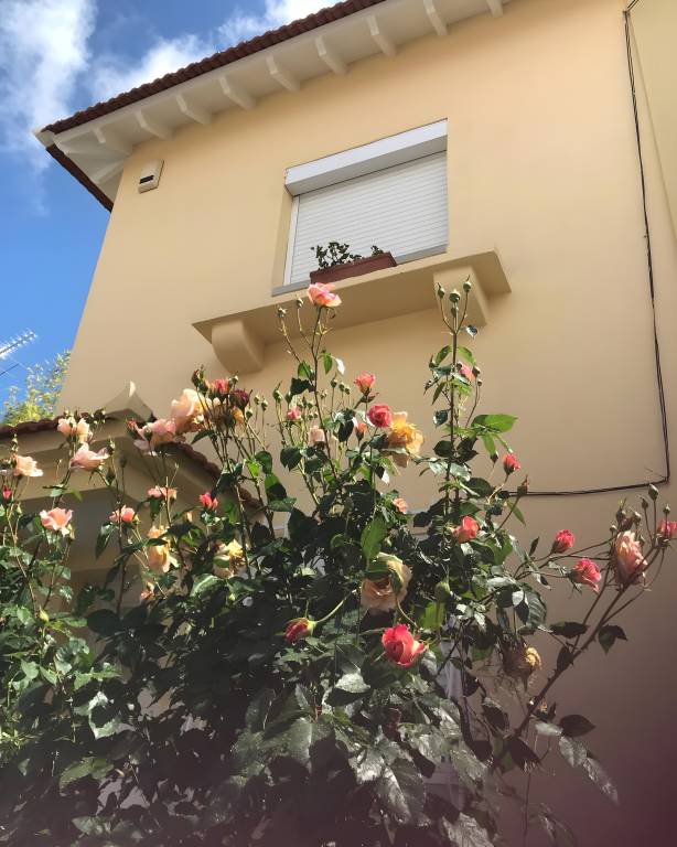 Villa with yard, barbeque & patio | Garden view in Lisbon