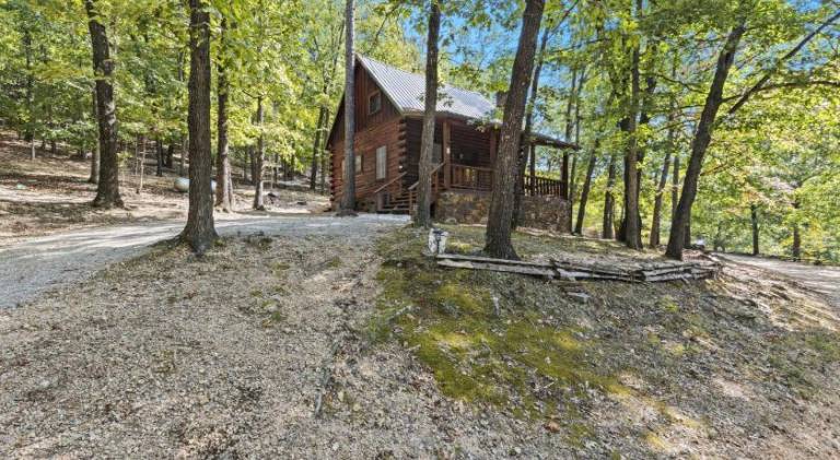 House | Pets are welcome in Eureka Springs, AR