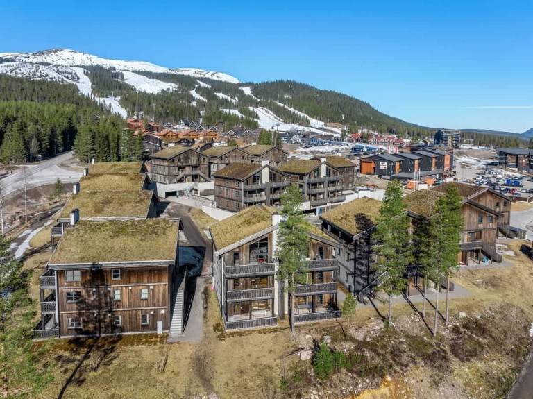 Ferienwohnung Trysil