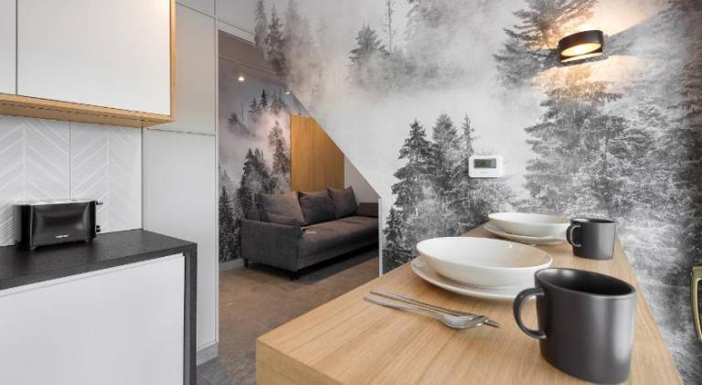 Rental apartment with 2 rooms for 6 persons in Zakopane